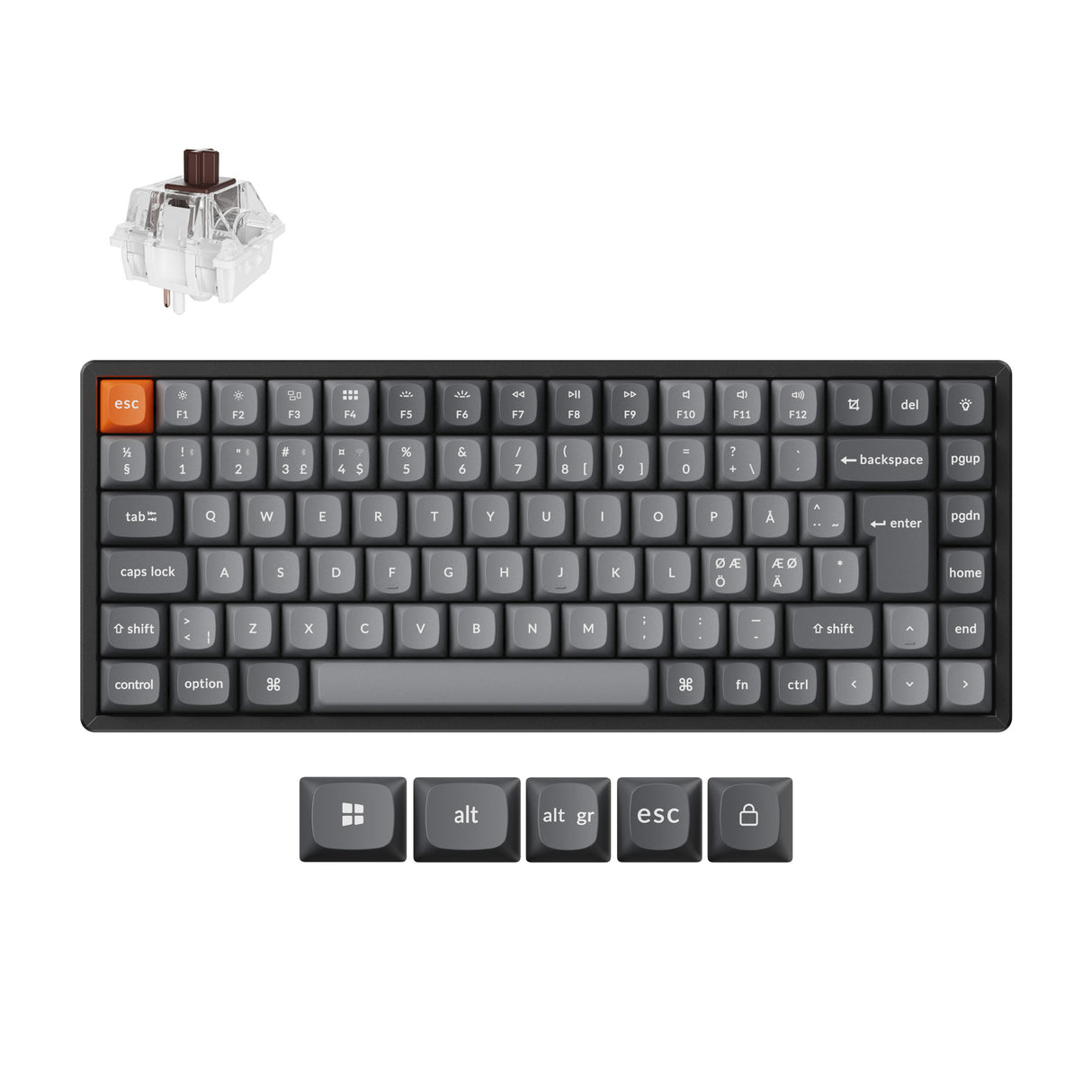 Keychron K2 Max QMK Wireless Custom Mechanical Keyboard RGB Backlight Aluminum Frame 75% Layout Fully Assembled for Mac Windows Linux Hot Swappable Keychron Super Brown