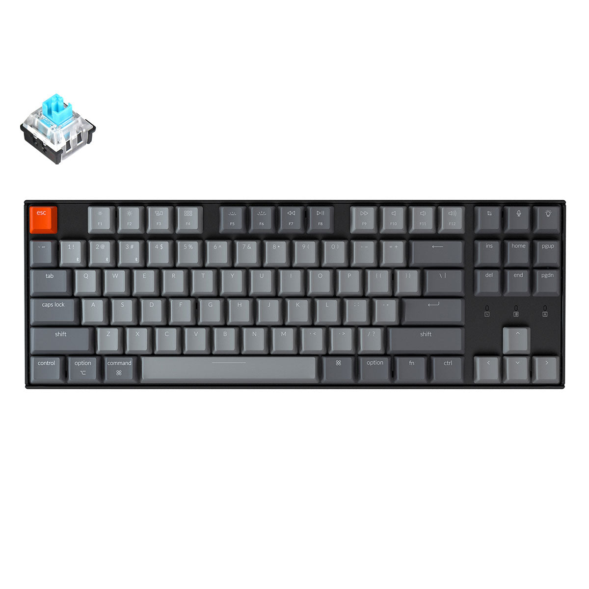 Keychron K8 tenkeyless wireless mechanical keyboard for Mac Windows iOS RGB white backlight with Keychron optical switch blue