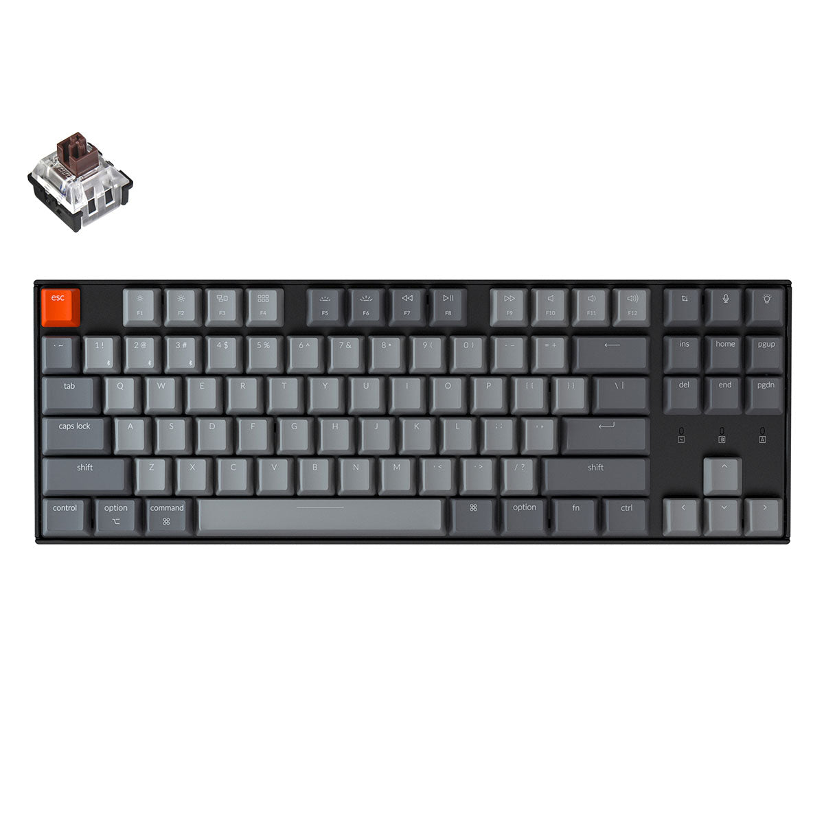 Keychron K8 tenkeyless wireless mechanical keyboard for Mac Windows iOS RGB white backlight with Keychron optical switch brown